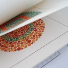 Ishihara Farbtesttafeln für Analphabeten